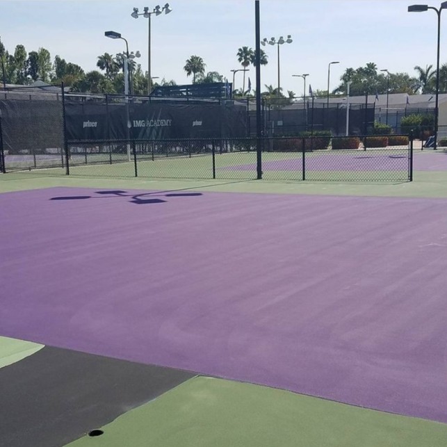 Purple Court
