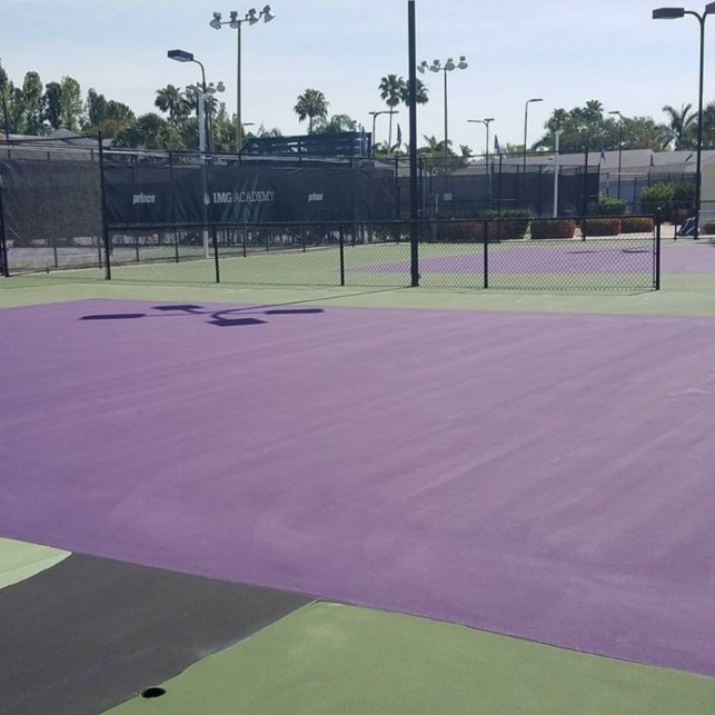 Purple Court Purple Court